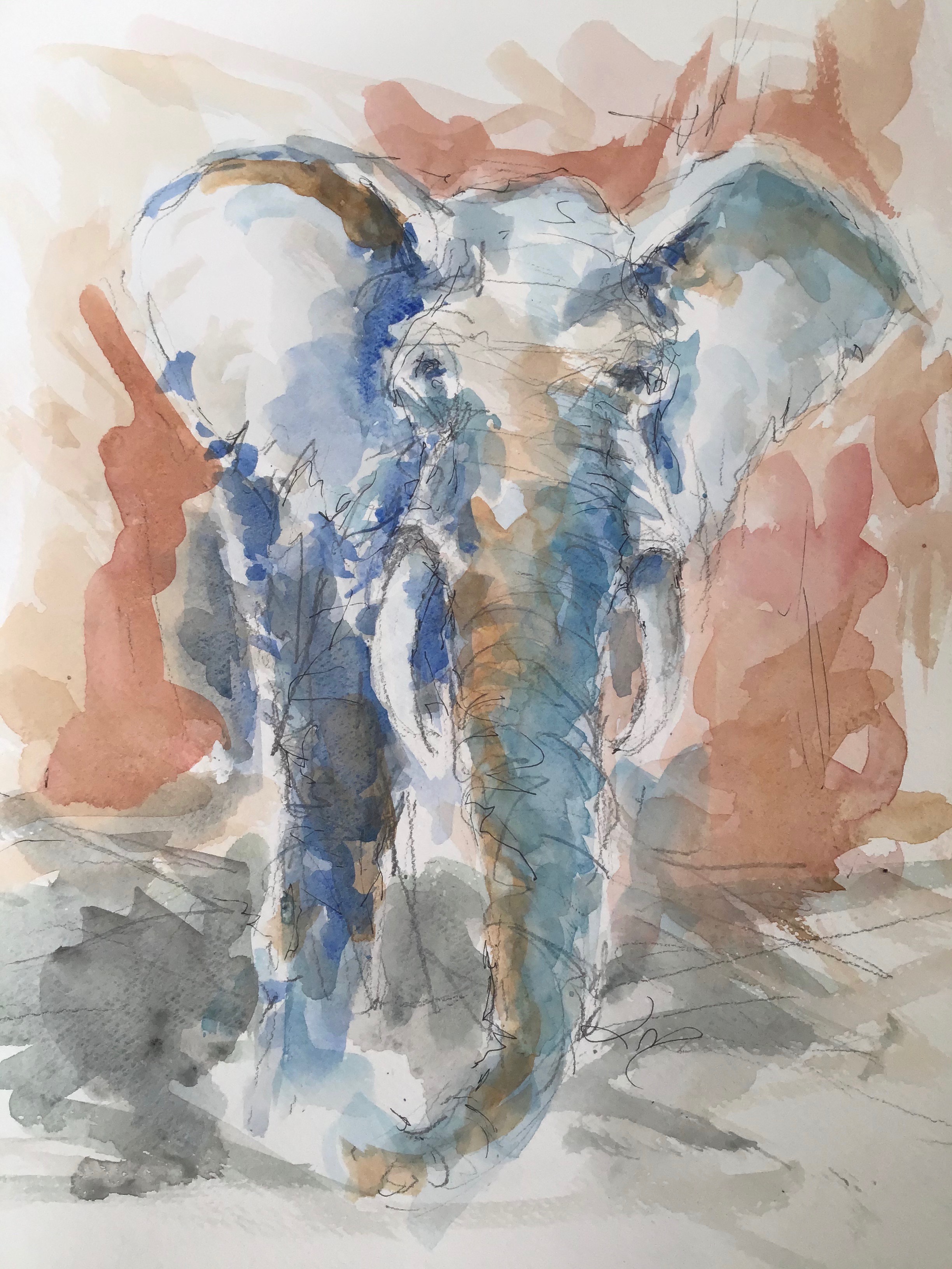 Hanelefant klar til angreb