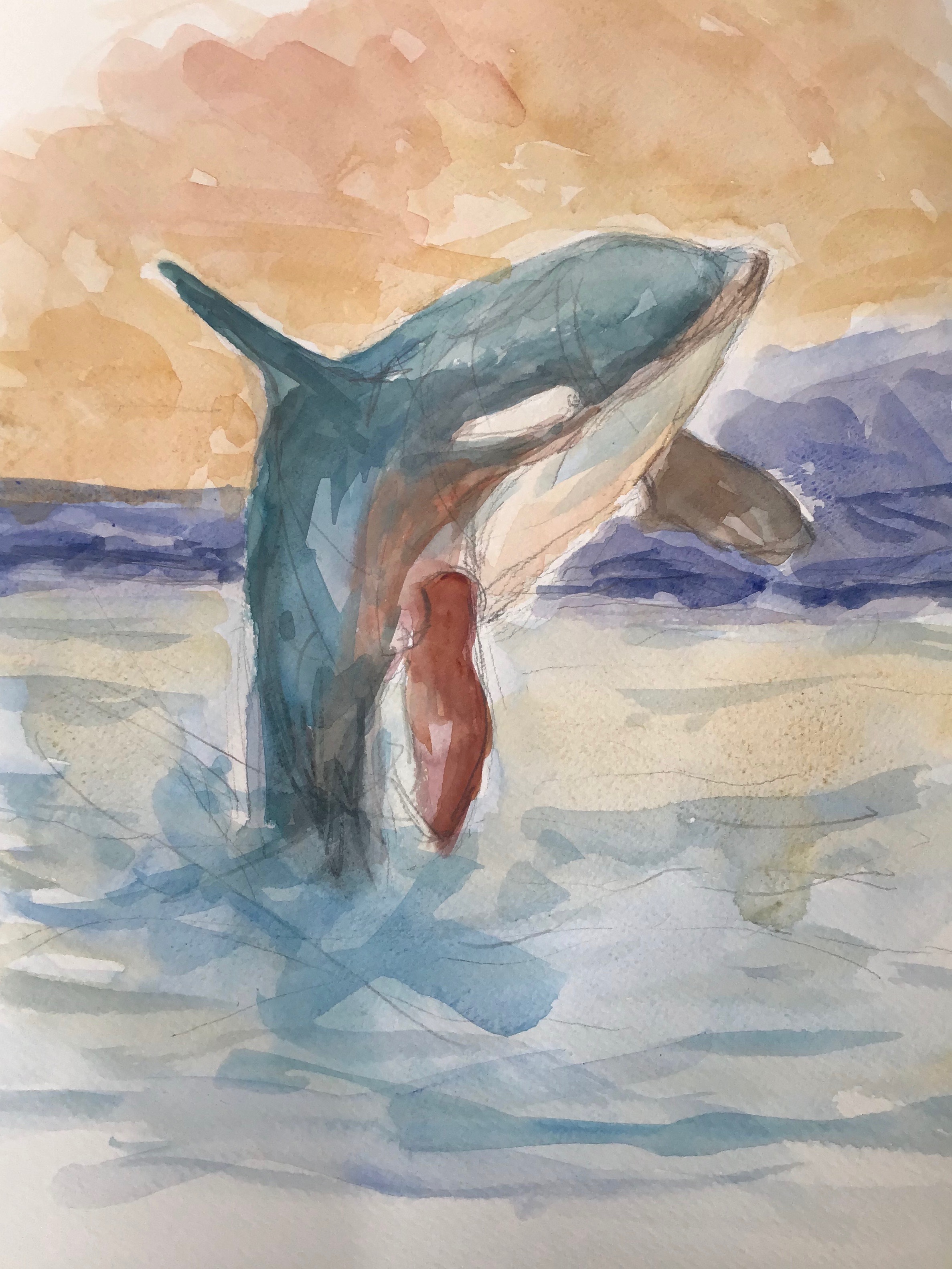 Springene Spækhugger