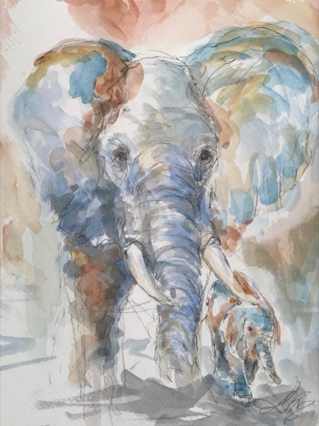 Elefant med unge