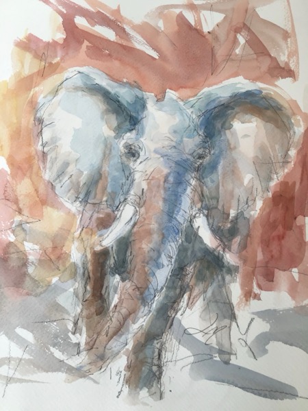 Hanelefant