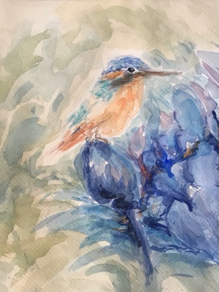 Hummingbird 1