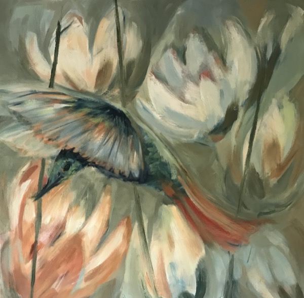 Kolibri